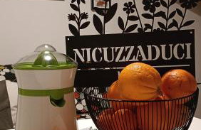 Nicuzzaduci Home - Photo 70