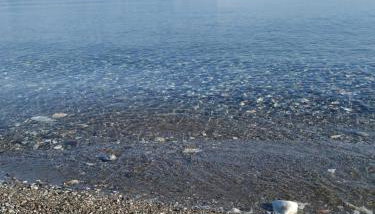 Luxury Beachfront Villa Poseidon Artemisiou Παραθαλάσσια Βίλα στην βόρεια Εύβοια για φιλοξενία 9 ατόμων - Foto 2