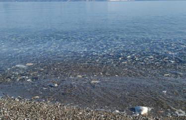 Luxury Beachfront Villa Poseidon Artemisiou Παραθαλάσσια Βίλα στην βόρεια Εύβοια για φιλοξενία 9 ατόμων - Foto 2