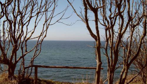 Ferienhäuschen - Foto 4