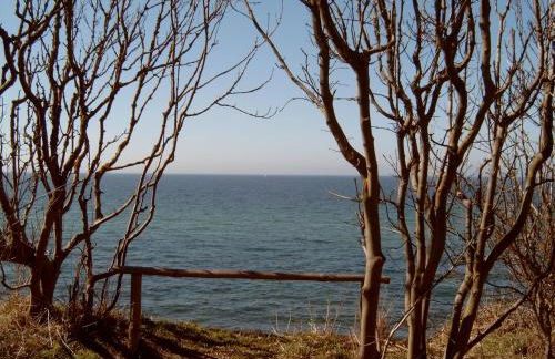 Ferienhäuschen - Foto 4