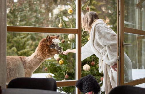 Appartamenti La Sajun & Les Viles - Foto 64