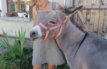 Gîte 4 pers proche cure thermale, Futuroscope, calme et nature à La Roche Posay - Foto 13