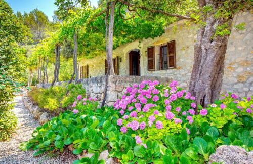 Na Garrovera - Foto 26