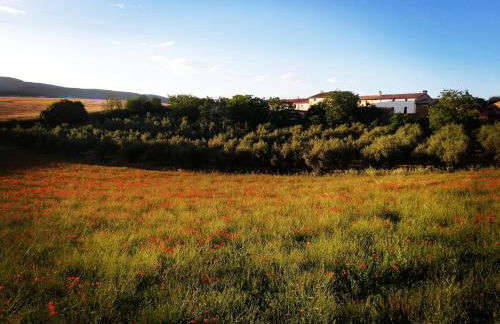 Casa Luka Etxea - Foto 49