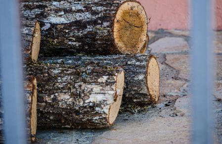 Kalavryta Grand Residence - Photo 71