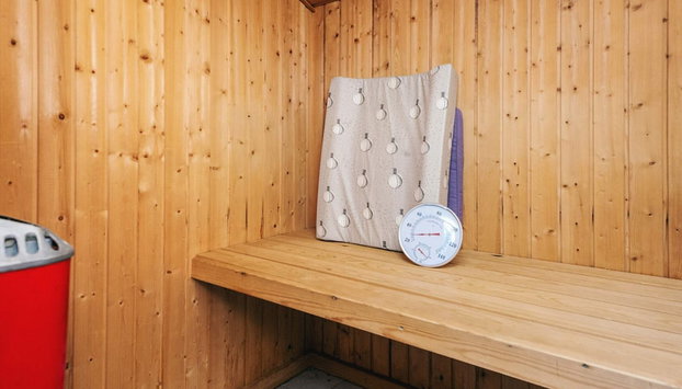 4 Star Holiday Home in Blavand - Foto 3, Sauna