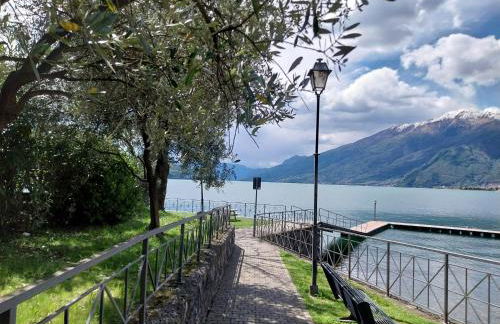 Vichi's nest - Foto 41