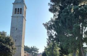 Old Harbour - Photo 21