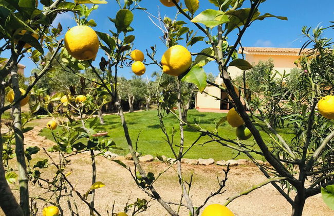 Villa Laura - Foto 23