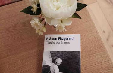 Le Joyau Des Parcs classé 4 étoiles appartement central au calme avec terrasse - Foto 10