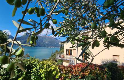 Villa gli Ulivi - Bariloche Lake & Mountain View - Foto 65