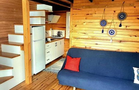 Sole Foca ( Ages 12+ ) - Foto 13