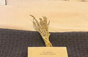 Archontikon 1800 - Photo 20