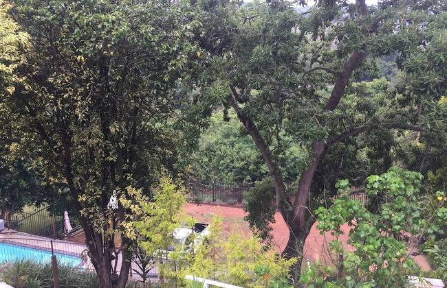 Sabie Self-Catering Apartments - Foto 61