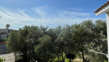 Su Tostobiu - Foto 5