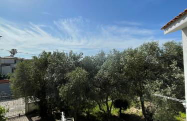 Su Tostobiu - Foto 5