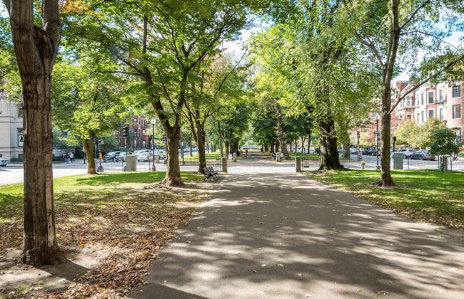 Pelicanstay in Central Square Cambridge - Foto 23