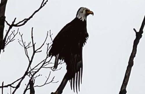 Boat House - Foto 18