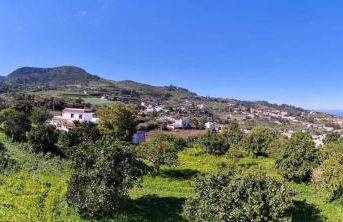 La Casa de Teror - Foto 1