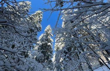 Ferienwohnung Moosegger - Foto 13