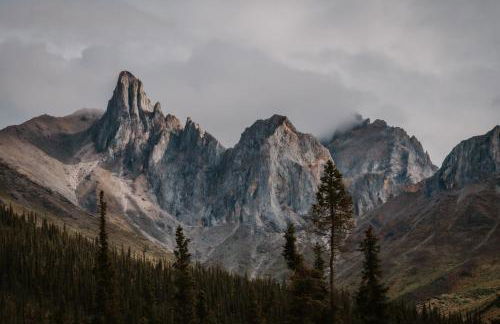 Moose Mountain Cabin- Cozy retreat with aurora views - Foto 7