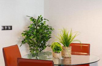 Beach and golf at modern apartment - Photo 20