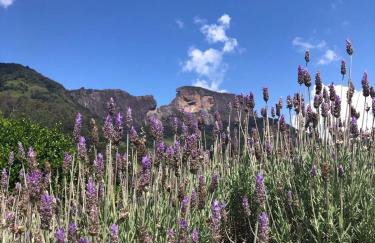 Rancho do Paioleiro - Foto 40