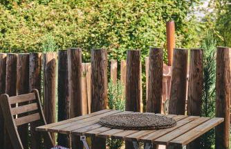 Curious Calf - Foto 15