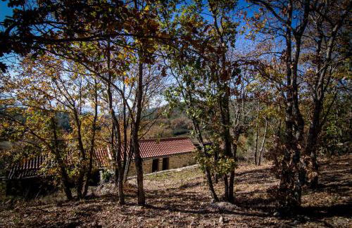 Casas dos Avos - Foto 79