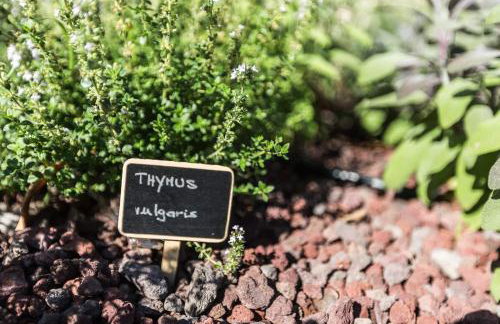 Villa MeryEma - Excellent villa with sea view - Foto 59