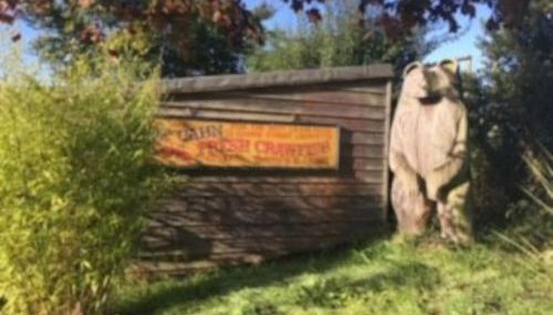 A charming unique lodge, with log burner and incredible views - Foto 4