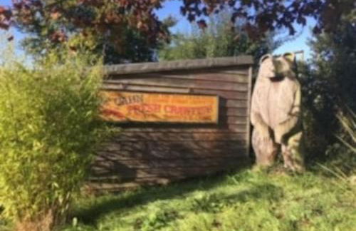 A charming unique lodge, with log burner and incredible views - Foto 4