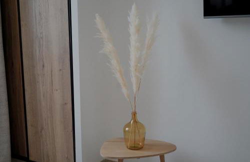 Château de l'insolas - Photo 27