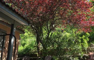 Manoir de Champvert - Foto 42