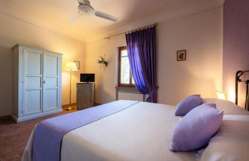 Tenuta Risalpiano - Foto 7