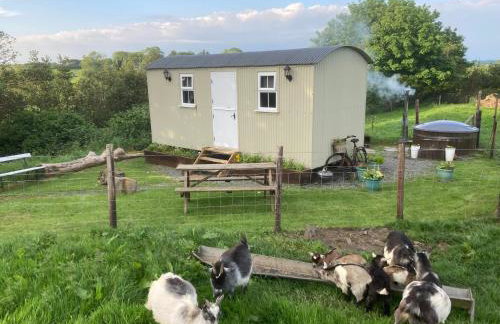 The Shepherds Hut - Foto 6