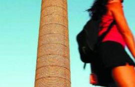 PARQUE DEL MEDITERRANEO - Photo 54