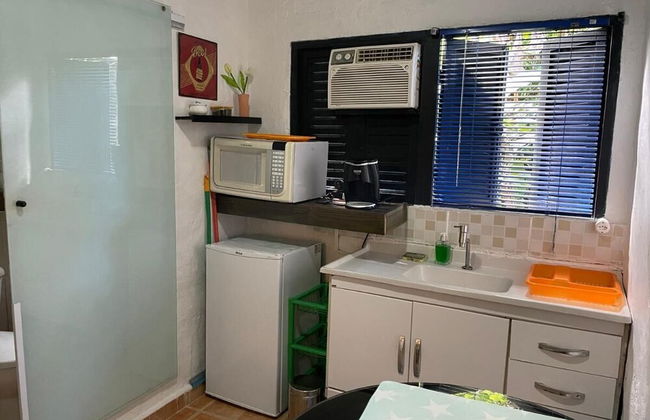 Alemão Cabanas - Foto 12