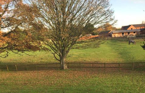 Glenbrae House 3 bedrooms near Nantwich with countryside views on private driveway - Foto 20