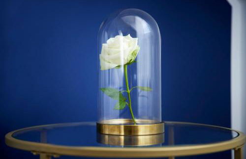 SCHLOSSBERG RESIDENCES - Superior Design-Apartments mit Schlossblick für bis zu 12 Personen - Foto 15