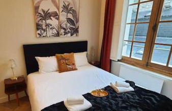 T2 calme vieux Tours Basilique - Foto 9