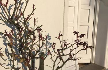 Fürstlich wohnen - Foto 29