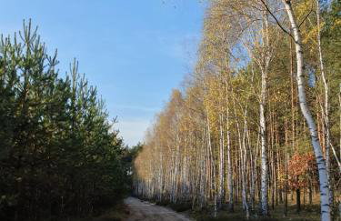 Zacisze Jurajskie - Foto 74