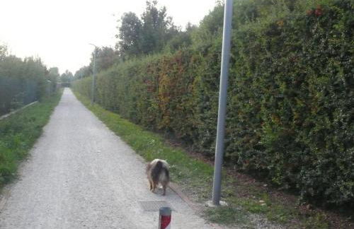 Agriturismo Caspineda - Foto 80