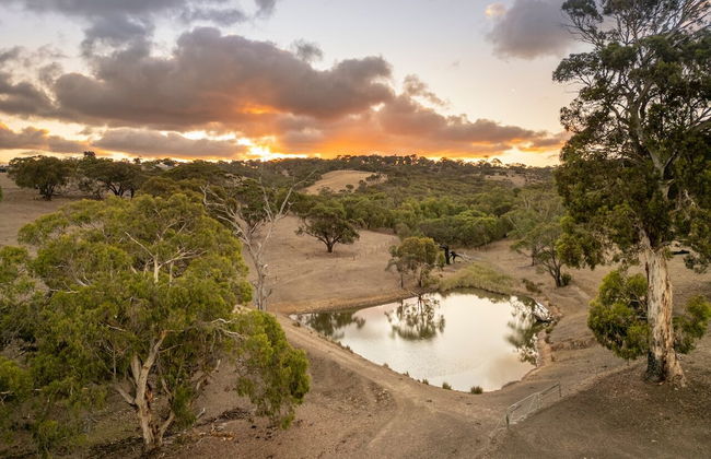 Merilli1885 - Private, Luxury Cottage - Foto 34