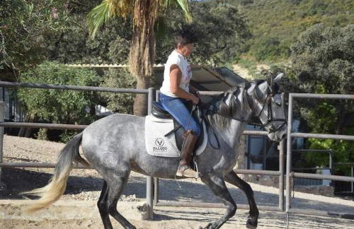 Finca Los Jacaros - Foto 51