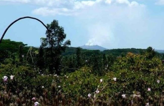 Kehena Treetop 1 Bedroom Home by RedAwning - Foto 17