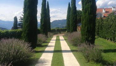 Villa Raifer - Foto 3