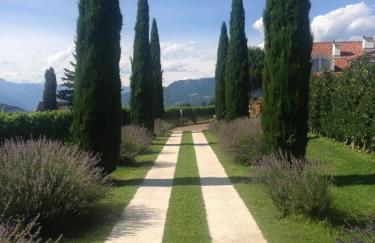 Villa Raifer - Foto 3